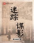 迷蹤諜影