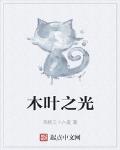 木葉之光